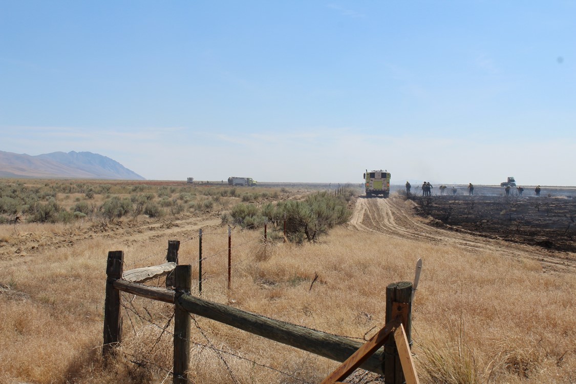 BLM Fuelbreak Stops Roadside Wildfire from Spreading into Sage Grouse